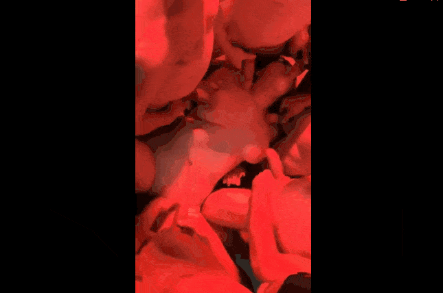 终极绿帽三品老婆被领导,朋友,路人在不同的地方玩娶妻如妓绿帽奴的梦想847M-253P+266V